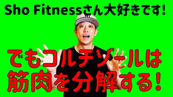 Sho Fitnessさん大好きです！でもコルチゾールは筋肉を分解する！