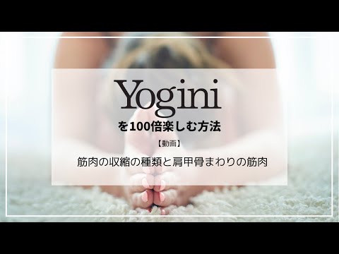 Yoginiを100倍楽しむ方法〜筋肉の収縮の種類と肩甲骨まわりの筋肉〜