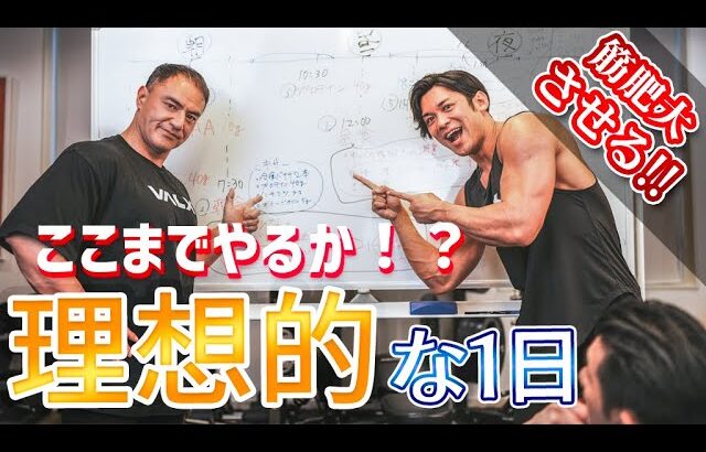 【山本先生コラボ】筋肉をつけるための理想的な1日の過ごし方