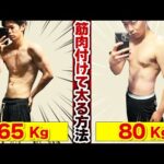 【小食向けデブエット】3ヶ月で+15kg筋肉をつけて太る方法【4STEP】