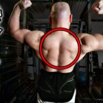 【筋肥大】たった三種目で背中の筋肉を分厚くするトレーニングを紹介します