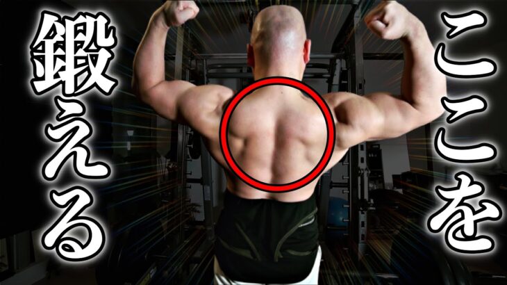 【筋肥大】たった三種目で背中の筋肉を分厚くするトレーニングを紹介します