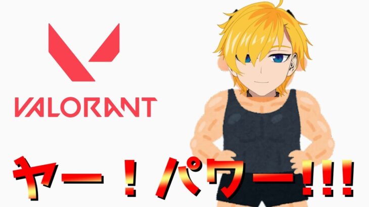 ヤー！筋肉トレーニング【Valorant/ヴァロラント】